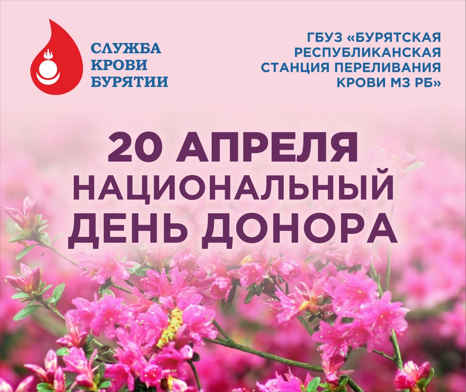 Региональный проект &quot;Здоровье для каждого&quot; входящий в национальный проект &quot;Продолжительная и активная жизнь&quot;.